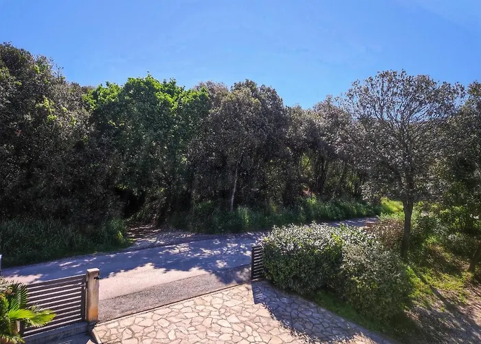 Tina Stinjan Apartament