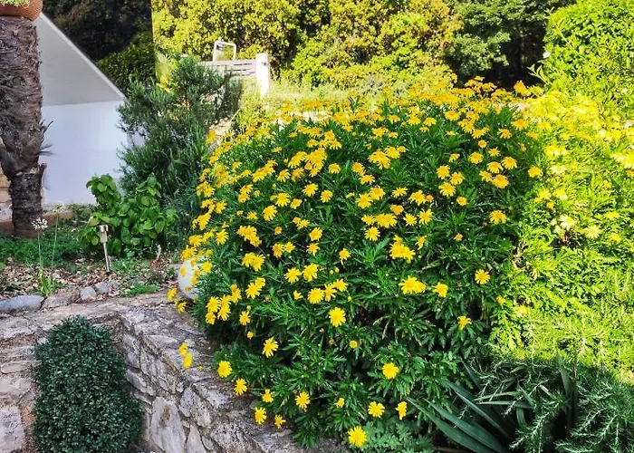 Tina Stinjan Apartament